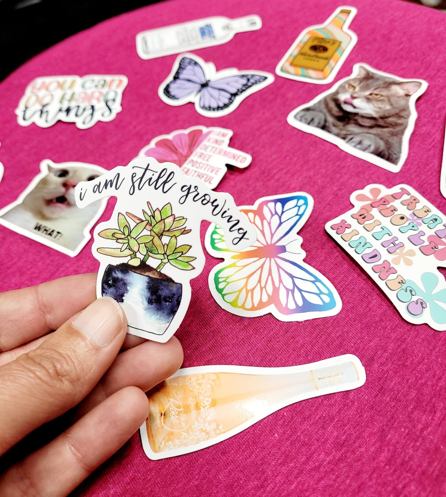 Assorted Surprise Stickers